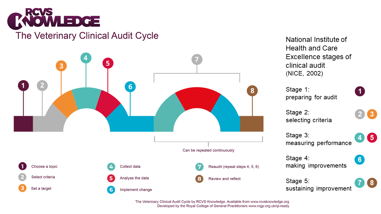 Veterinary clinical audit cycle