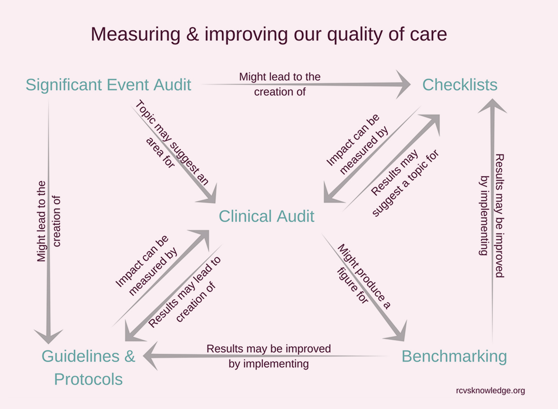 Figure showing the many connections between significant event audit, clinical audit, checklists, benchmarking, and guidelines and protocols.