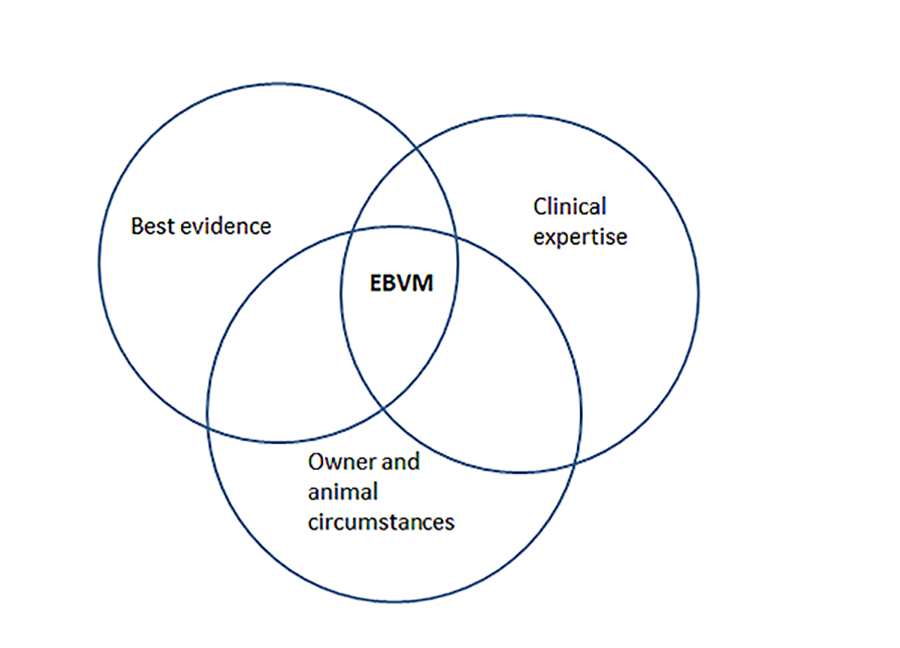 Venn diagram showing best evidence, clinical expertise and owner and animal circumstances. The intersection of the 3 sets is EBVM.