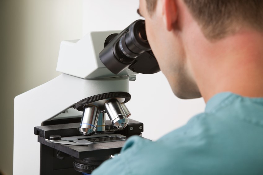 Male vet examining a slide under the microscope